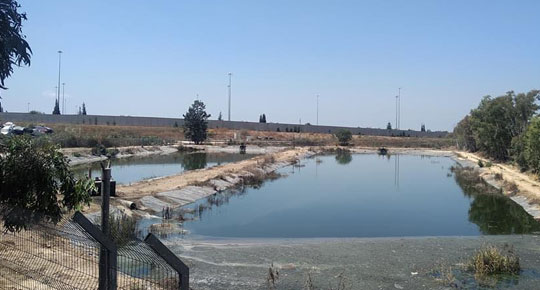 غنيم يستنكر ما قام به الاحتلال من ضخ مياه عادمة غرب طولكرم
