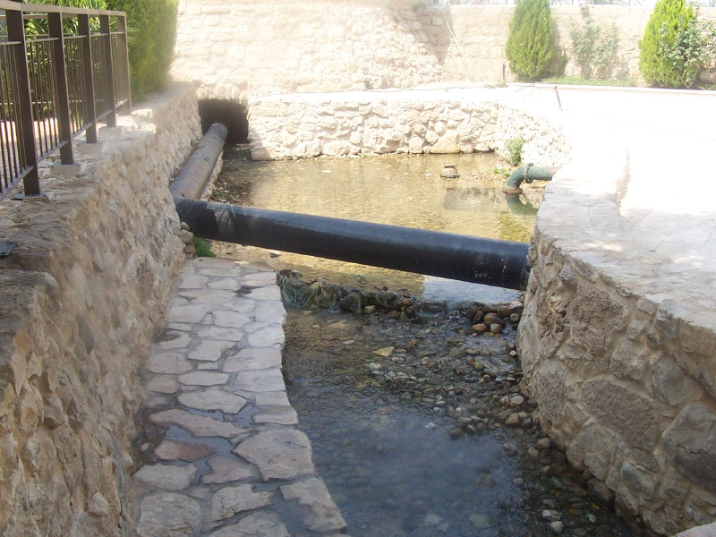 image8
